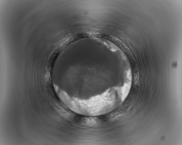 X0000097910618200804111115