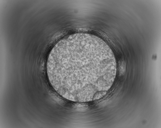 X0000097910619200804111115