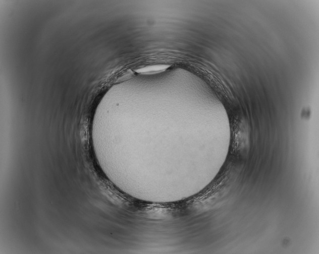 X0000097910620200804111115