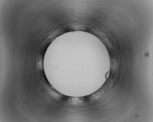 X0000097910622200804111114