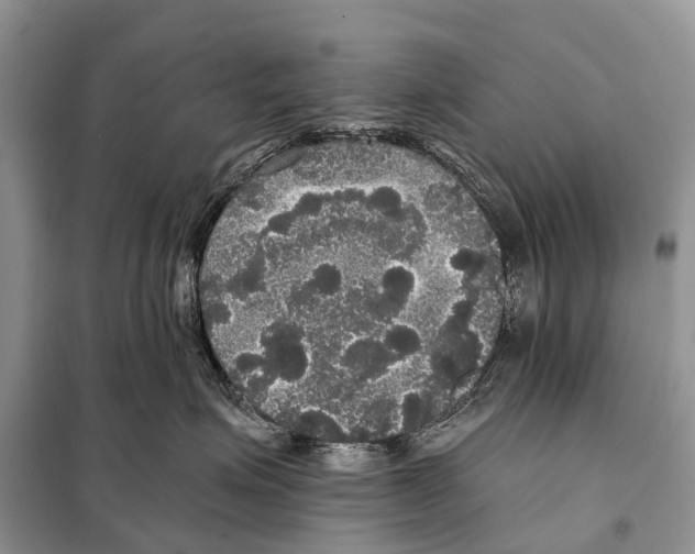 X0000097910623200804111114