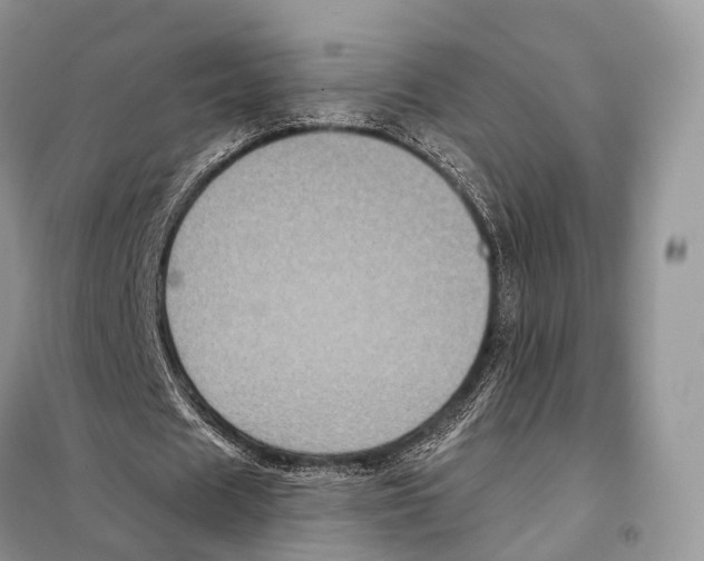 X0000097910625200804111113