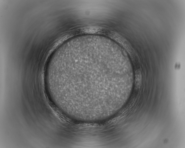 X0000097910626200804111113