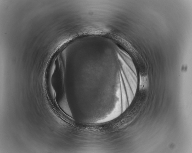 X0000097910627200804111113