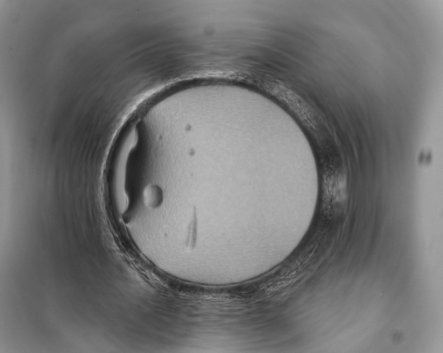 X0000097910628200804111113