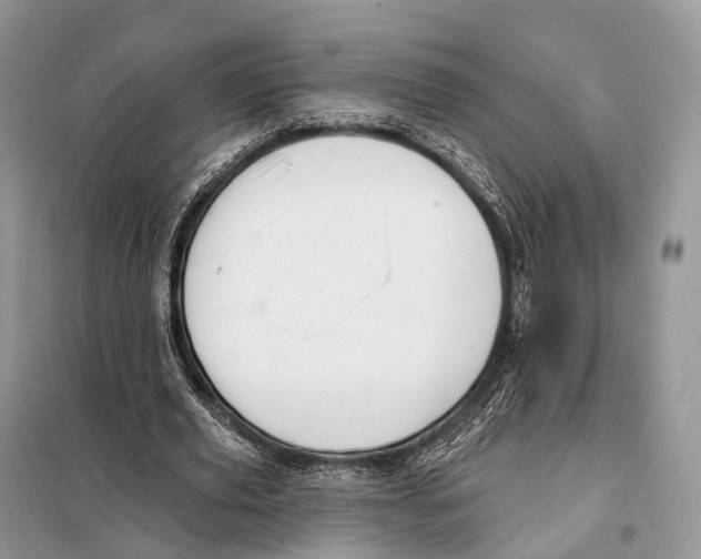 X0000097910629200804111114