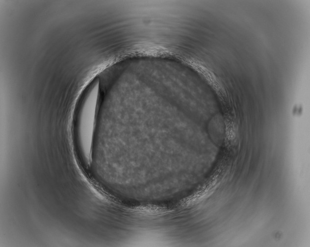 X0000097910630200804111114