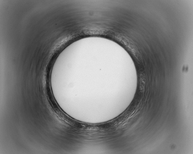 X0000097910631200804111114