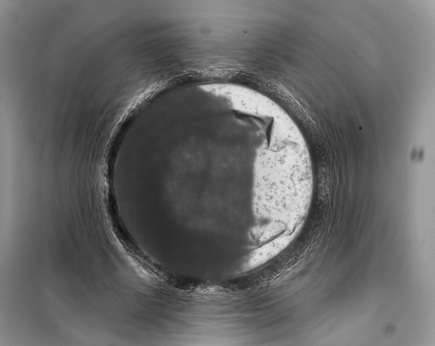 X0000097910634200804111114