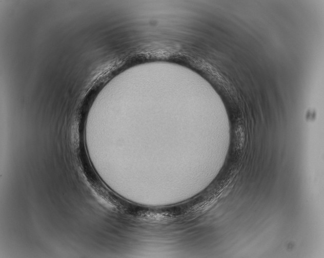 X0000097910638200804111114