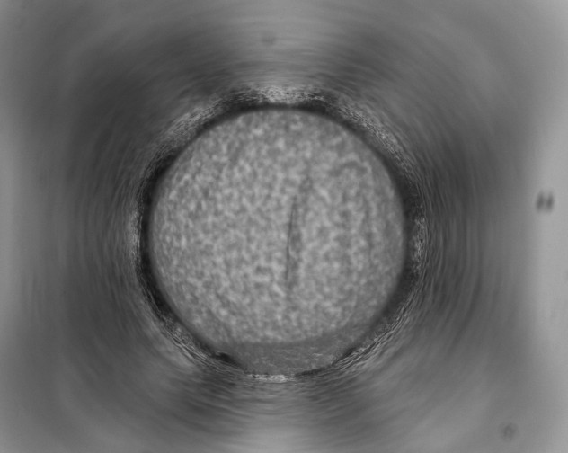 X0000097910639200804111114