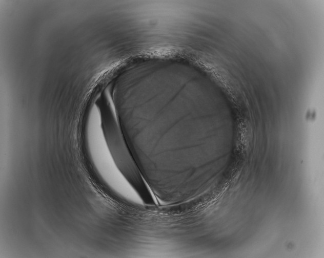 X0000097910640200804111114