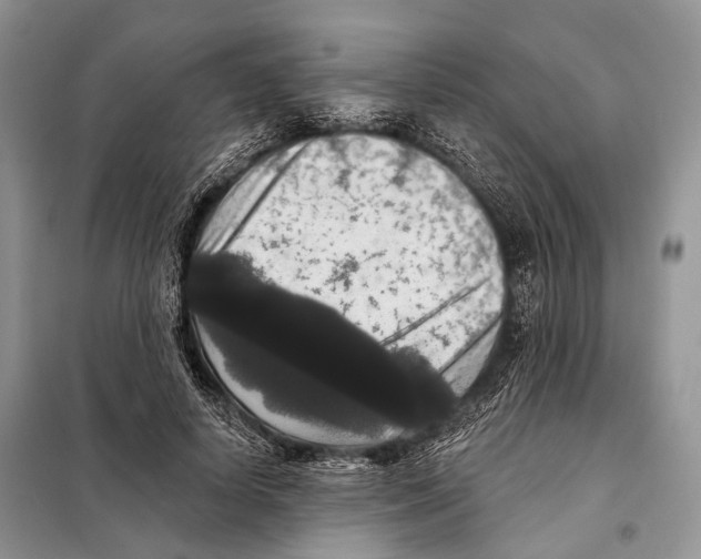 X0000097910642200804111114