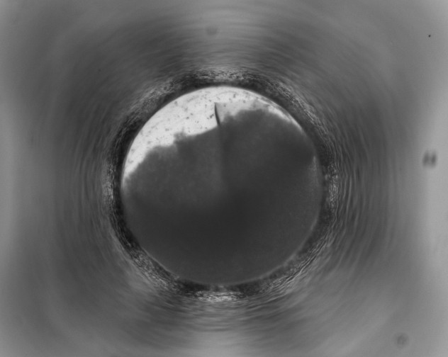 X0000097910643200804111114