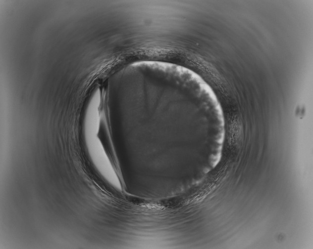 X0000097910644200804111114