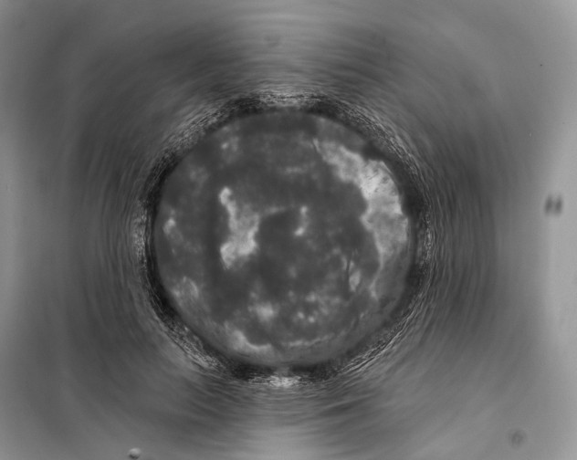 X0000097910647200804111114