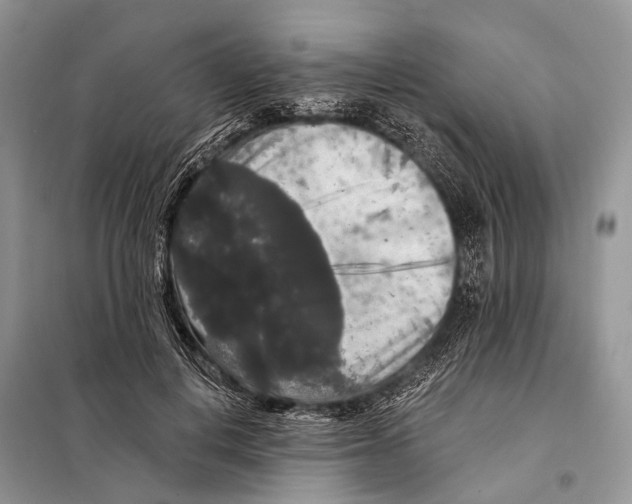 X0000097910648200804111114