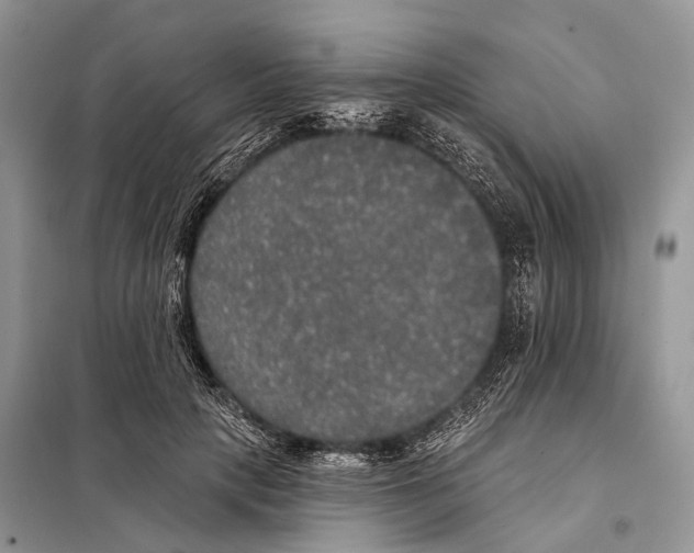 X0000097910649200804111114