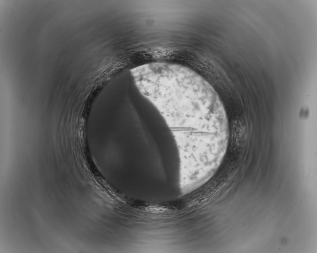 X0000097910650200804111114