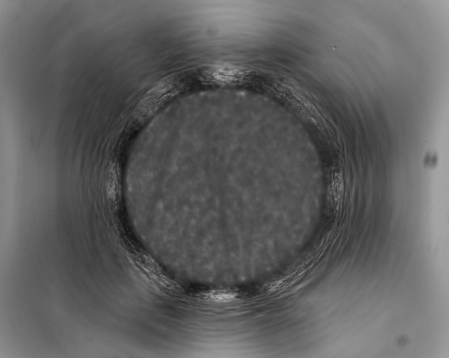 X0000097910651200804111114