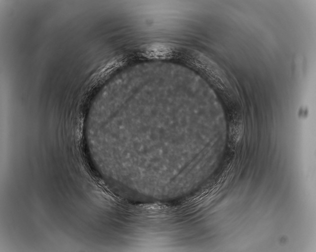 X0000097910652200804111114