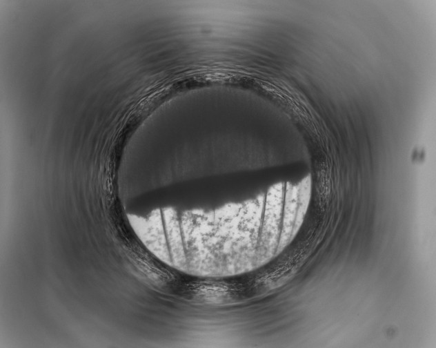 X0000097910653200804111114