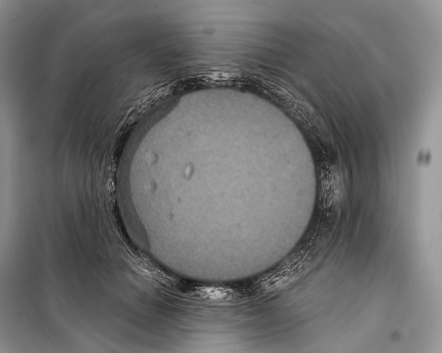 X0000097910654200804111114