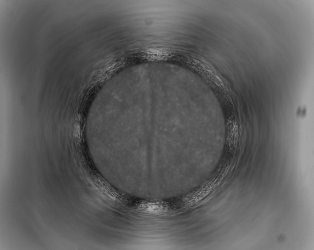 X0000097910655200804111114