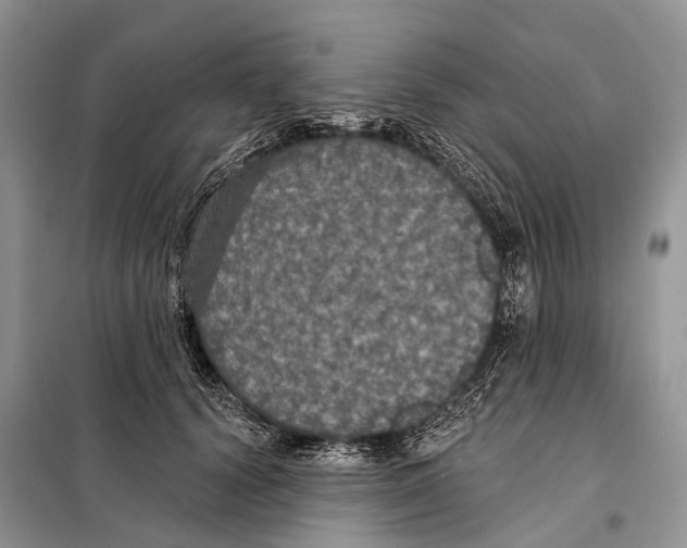 X0000097910656200804111114