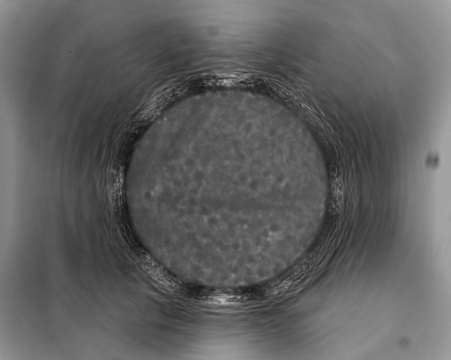 X0000097910657200804111114