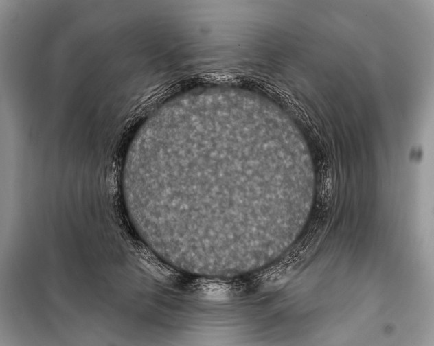 X0000097910658200804111114