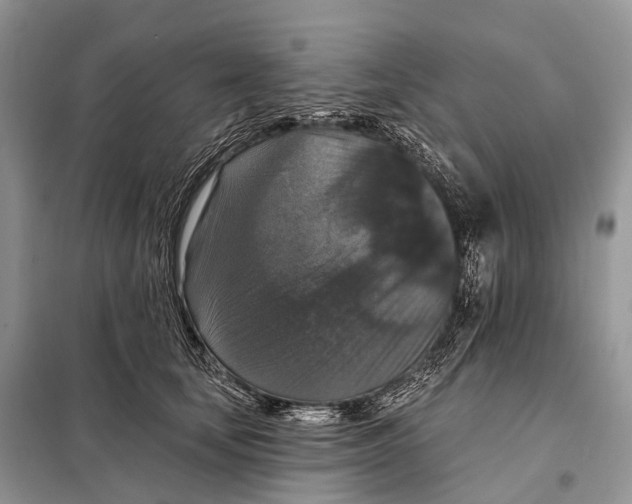 X0000097910659200804111114