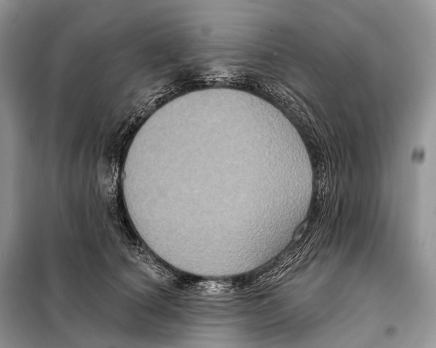 X0000097910660200804111114