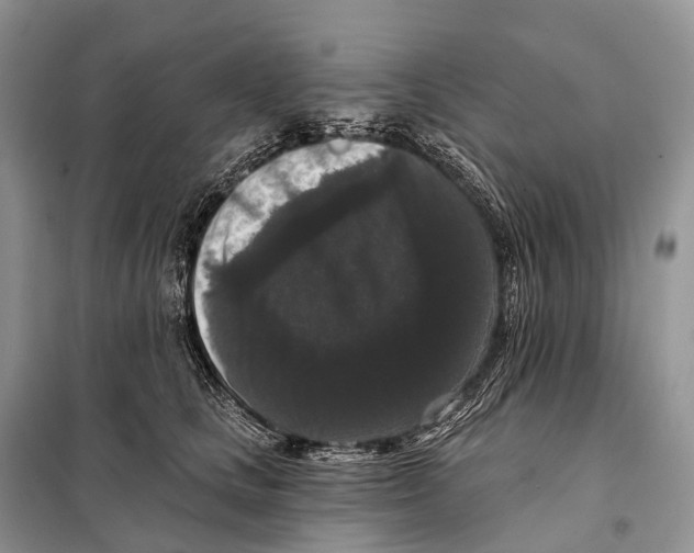 X0000097910661200804111114