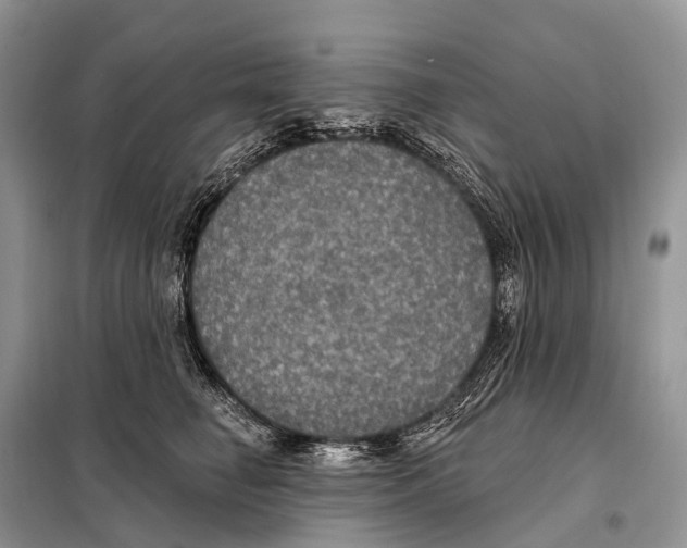 X0000097910662200804111114