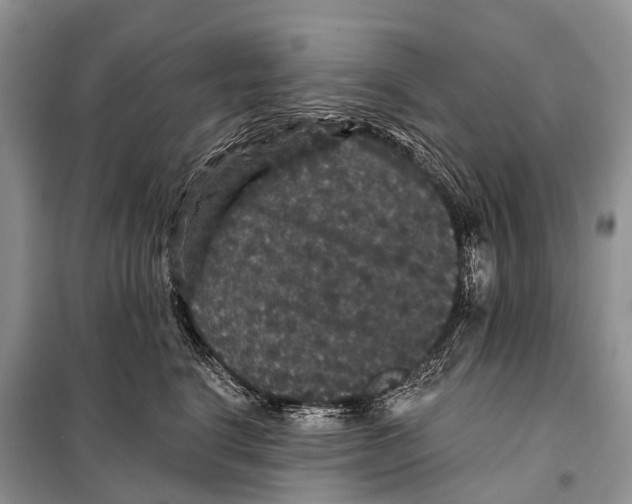 X0000097910664200804111114