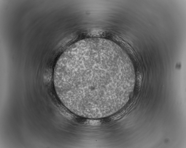 X0000097910665200804111114