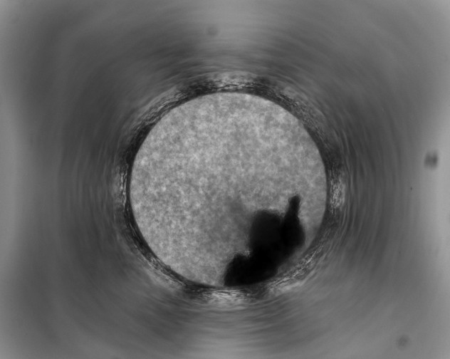 X0000097910666200804111114