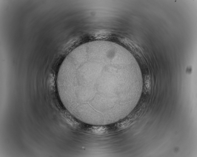 X0000097910667200804111114