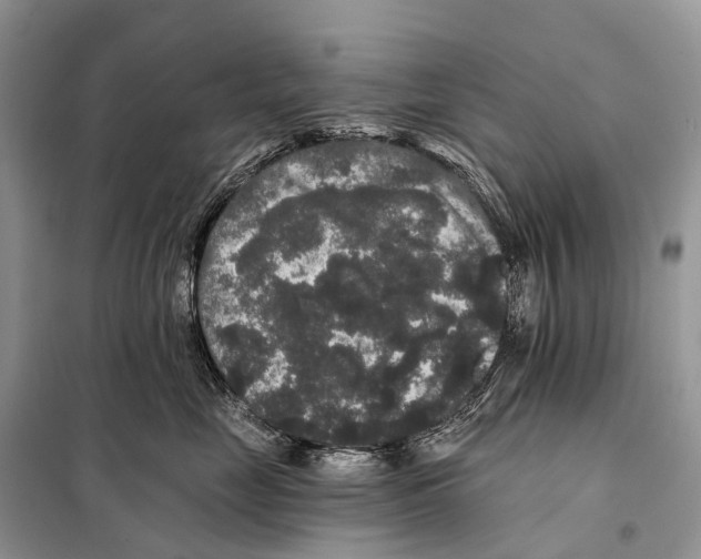 X0000097910669200804111114