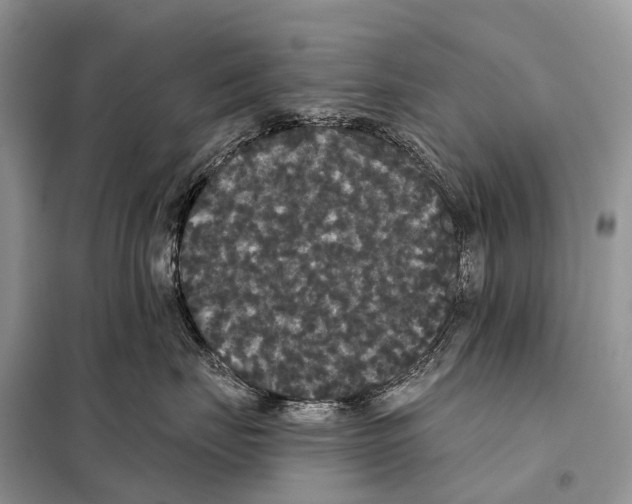 X0000097910671200804111114