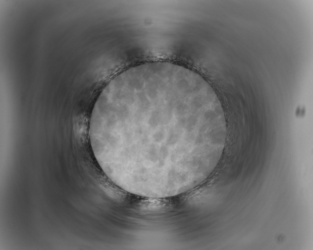 X0000097910672200804111114