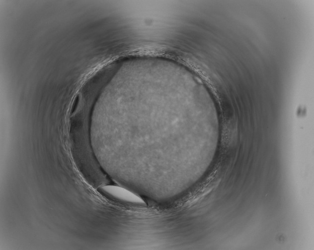 X0000097910673200804111113