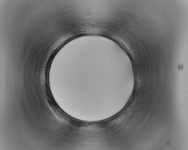 X0000097910674200804111113