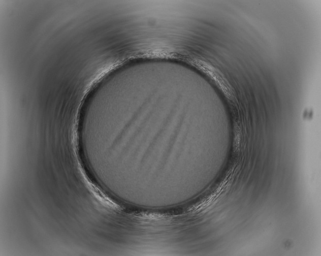 X0000097910677200804111113