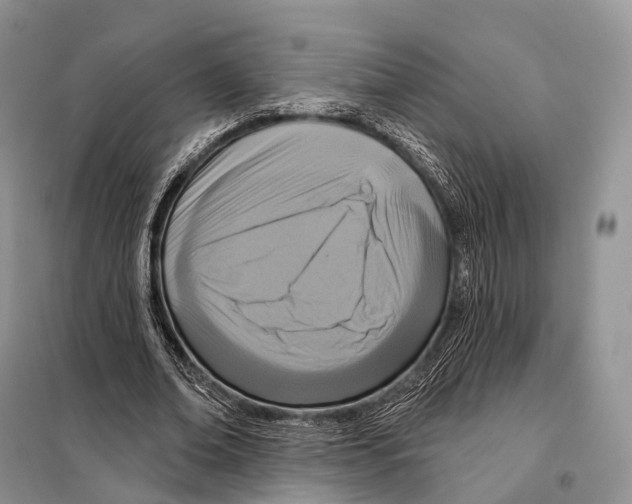 X0000097910678200804111113