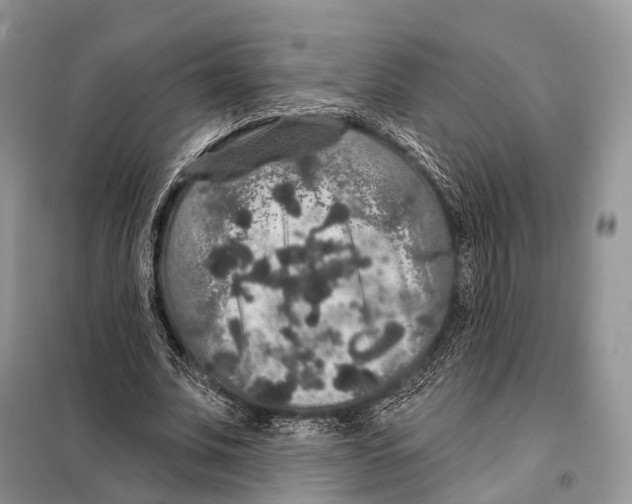 X0000097910679200804111113