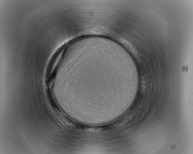 X0000097910680200804111113