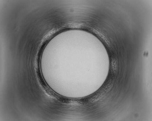 X0000097910682200804111113