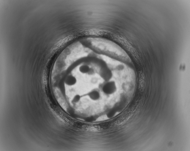 X0000097910683200804111113